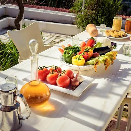 Villa Art Gallery Kefalonia Sea View And Breakfast *
